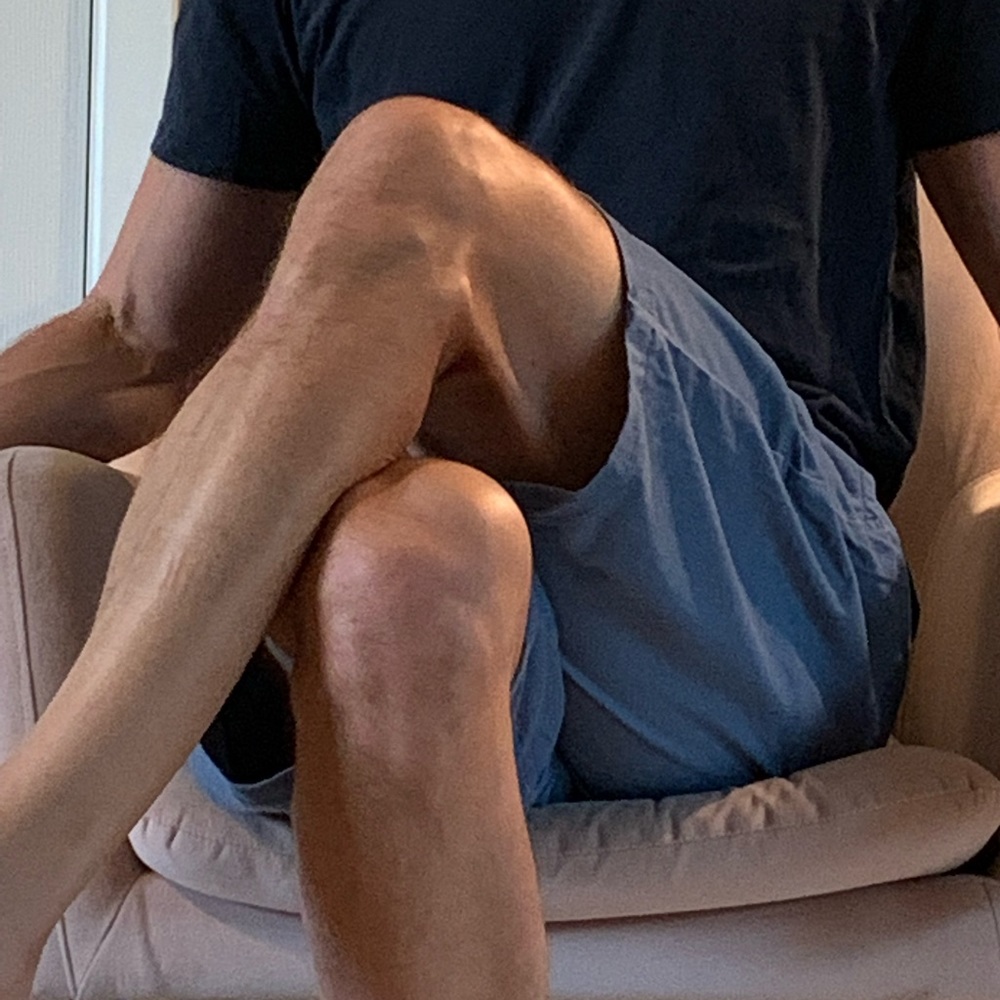 Vans cotton flat-front shorts